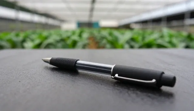 品牌咨询如何提升企业商务价值，优化管理策略