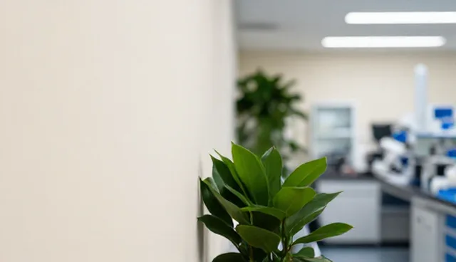 技术开发中性能与适用条件的取舍比较
