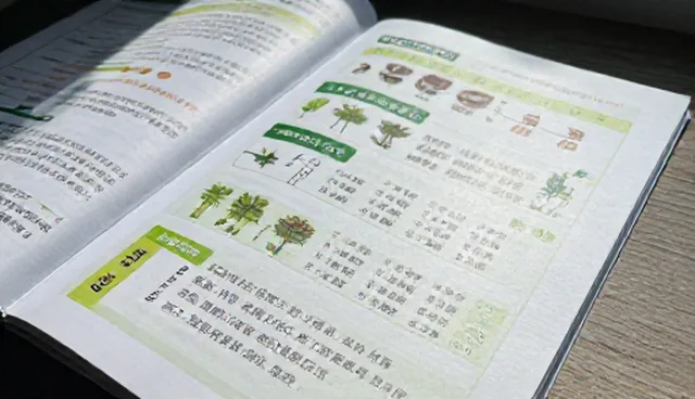 基地合作的适用场景与限制条件分析