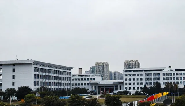 企业信息管理：选型关注点与使用建议