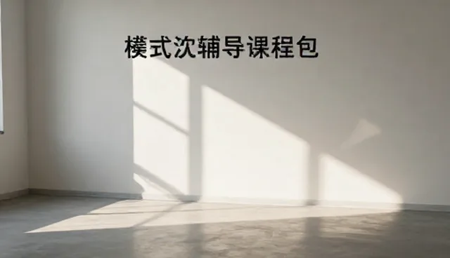 学习效果：如何通过适配方案提升性能与适用条件