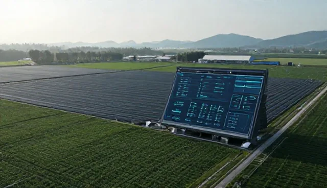 应用开发选型关注点：性能差异与实际环节分析