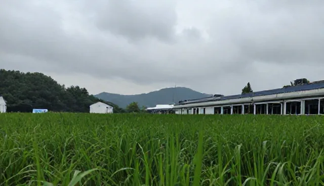 技术咨询：化工产品选型关注点分析