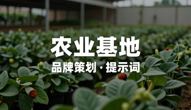 翻译提示词在图片提示词美女分类中的实际应用