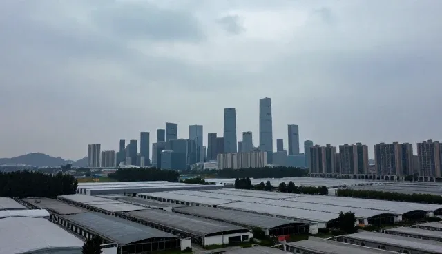 资源分配不当如何影响交付质量