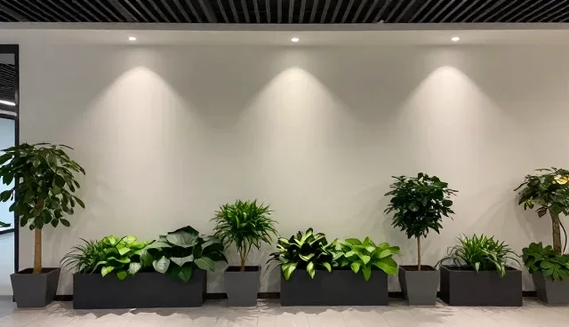 运维服务中的常见误区及正确理解