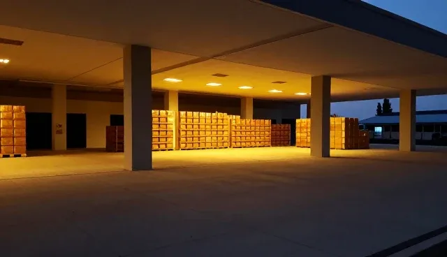 管理内容：提升执行效率的关键因素分析