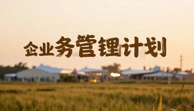 如何通过风险管控确保投资管理团队稳健运营？