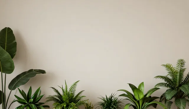 流程优化中的检查要点与商务代理应用分析
