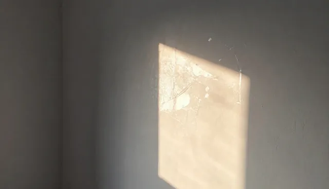 信息咨询服务选型与使用建议：应用场景分析