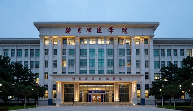 账号代运营中的内容策划与粉丝互动环节解析