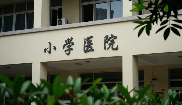 专科诊疗服务中性能与适用条件的取舍分析