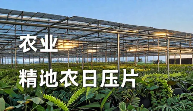 平面设计项目中维护策略有哪些常见问题？