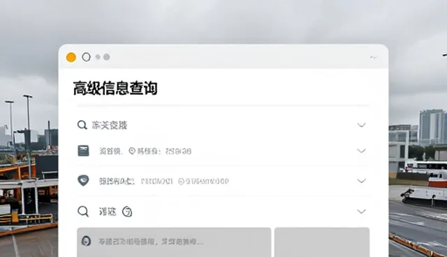 如何高效使用信息查询平台？