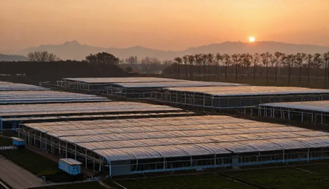 企业信息化方案中SEO优化套餐的选型与维护建议
