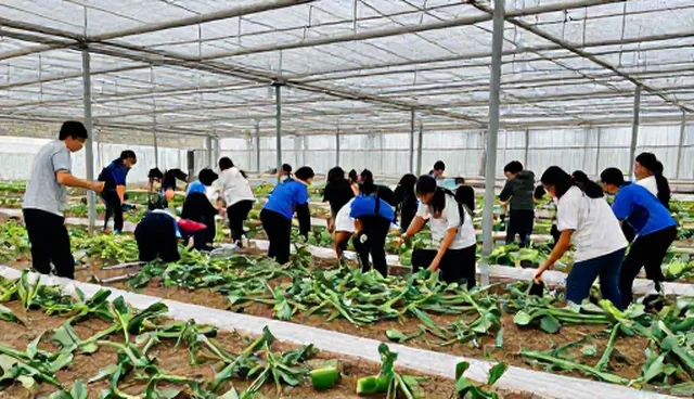 教学场景选择对教学效果的影响原因分析