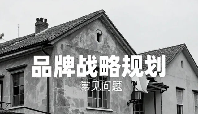 项目品牌管理中的处理方法与适用限制分析