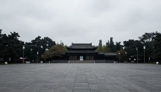 如何应对合作中系统集成的业务流程风险？