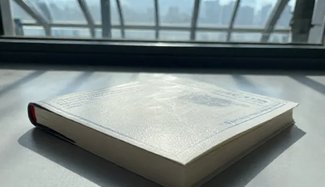 节点可查如何影响项目咨询结果的准确性
