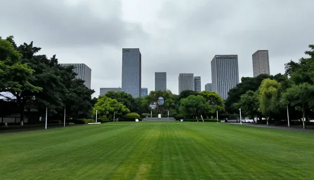 信息化系统实施建议：合规性保障与维护策略