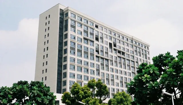采购策略：优化物流效率的实用建议