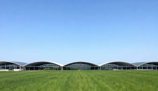 新媒体运营选型建议：如何选择适合自己的平台？