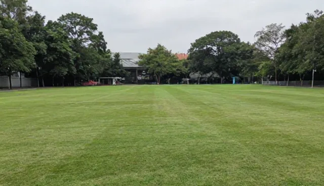 短视频运营中的APP使用场景与常见问题解析