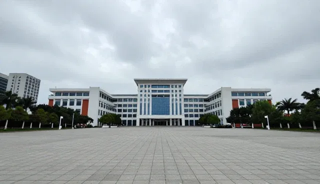 信息技术咨询如何在企业数字化转型中发挥作用