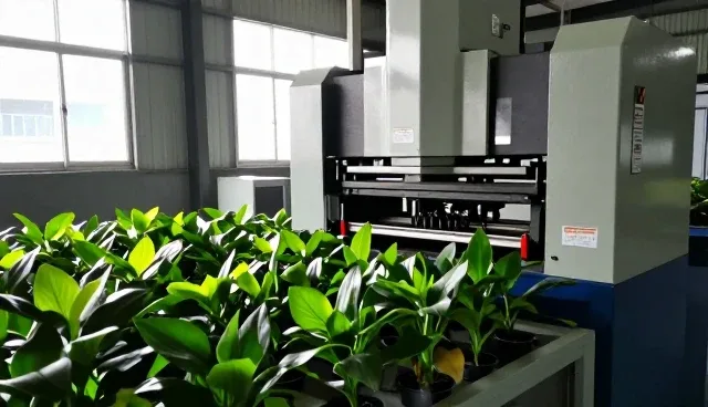 全自动压装机使用中的5大检查要点与性能影响分析