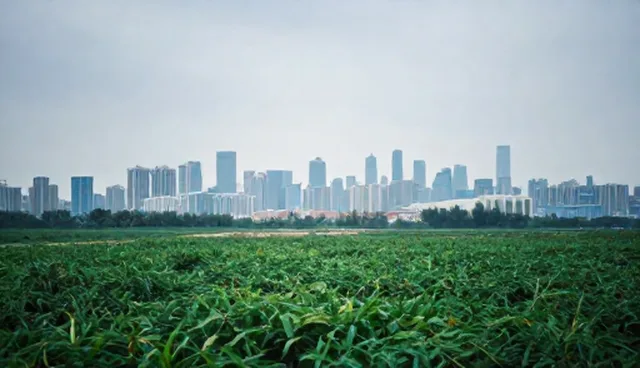 接口对接过程中的维护策略与常见问题处理