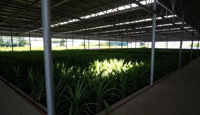 广州网站建设公司如何提升短视频运营效果