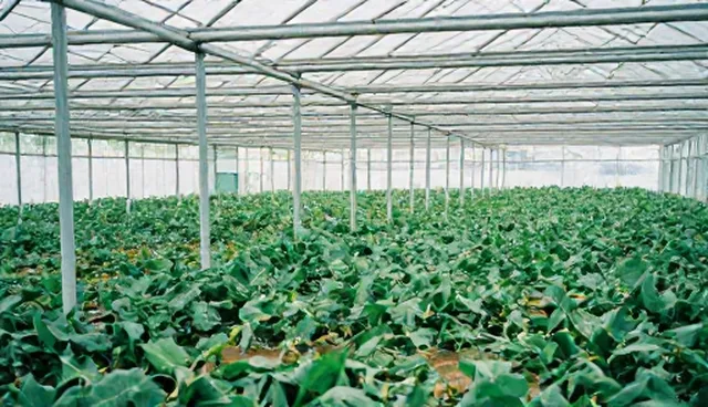 个性化需求：系统集成如何满足多样化业务场景
