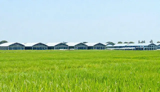 软装设计服务能力建设选型关注点解析