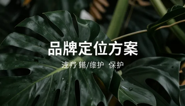 品牌咨询选型与使用中的常见问题及处理建议
