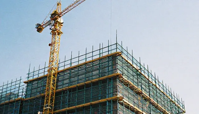 能力建设：项目管理中的性能与适用条件分析