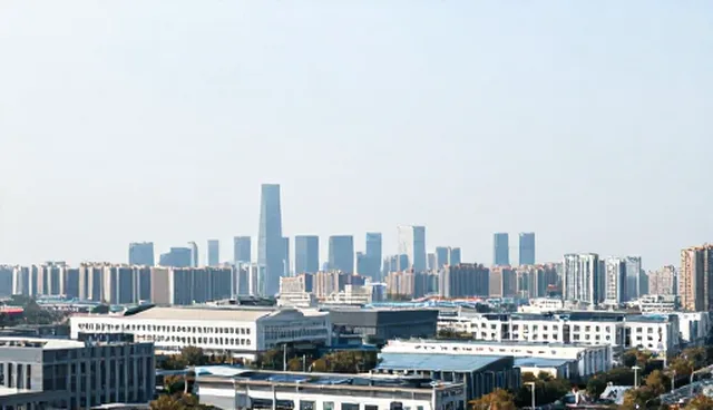 技术外包中的软件性能检查要点及适用条件
