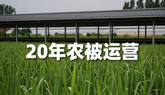 asp小旋风推广难题与短视频运营处理方向