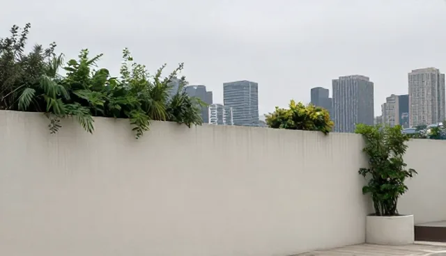 提升生产效率：网络完善与否的取舍策略