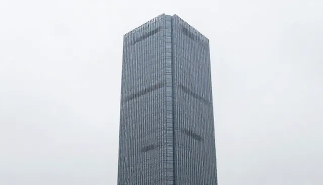 采购信息中的供求关系如何影响市场价格