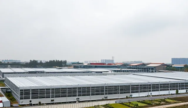 会务服务场景适用情况与限制分析
