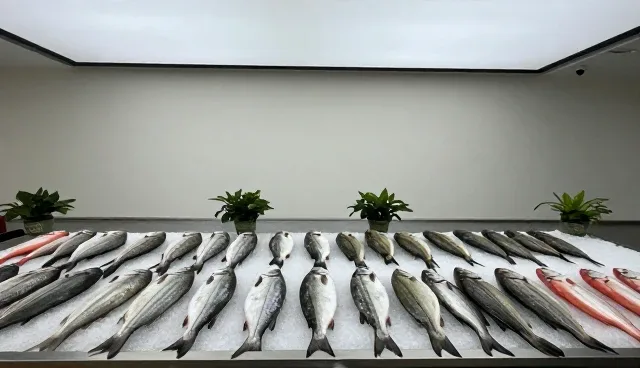 鲜活鱼虾保鲜难题，生态优先如何破局