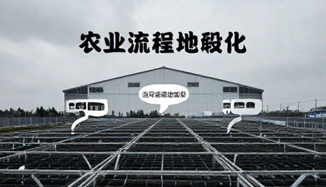 流程优化在信息咨询中的应用与选择依据