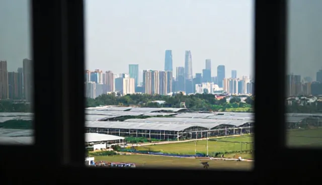 选型关注点：技术支持如何影响软件研发效果