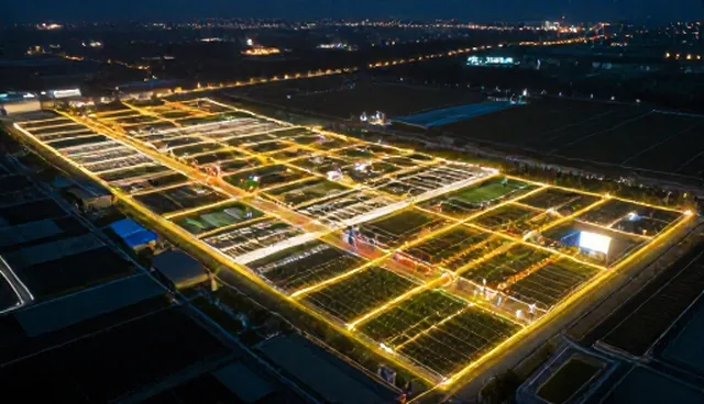 活动策划执行的适用场景与限制分析