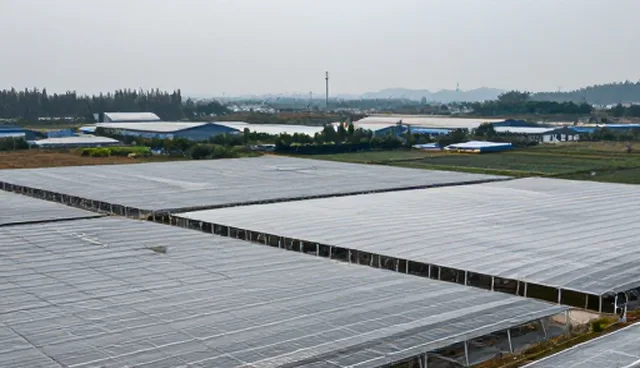 财税咨询选型关注点及优化建议