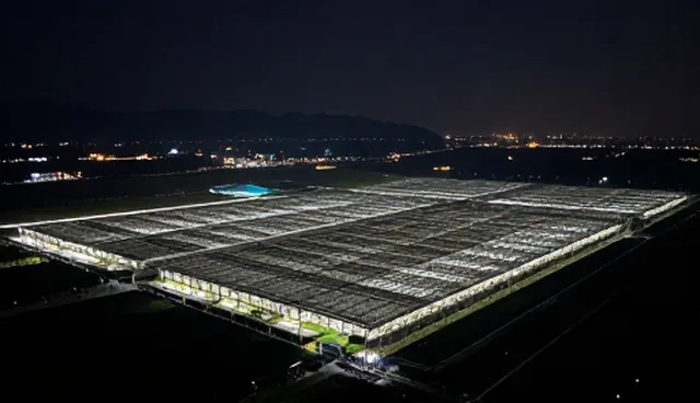 ai提示词交易怎么推广：效果调优服务的使用建议