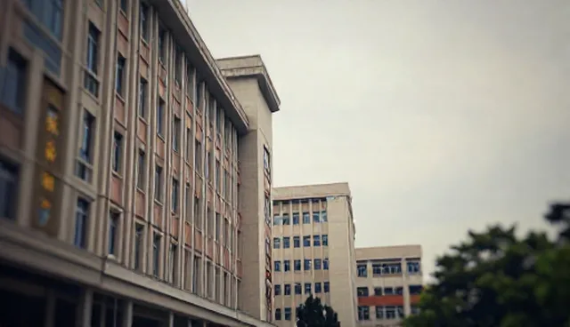 商务代理选型：如何根据企业需求精准匹配