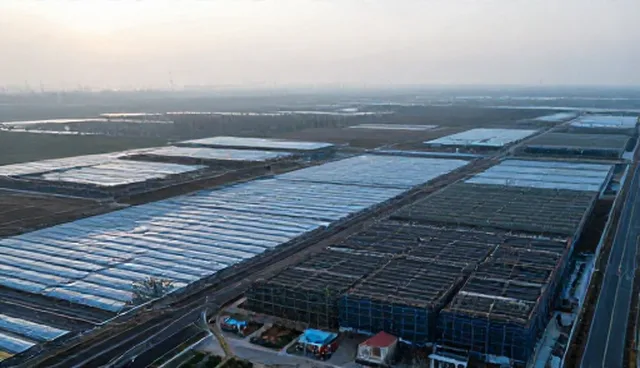 节点可查在市场策略中的取舍与适用条件