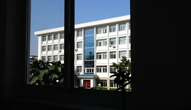 内容定制效率受目标用户画像影响的原因分析