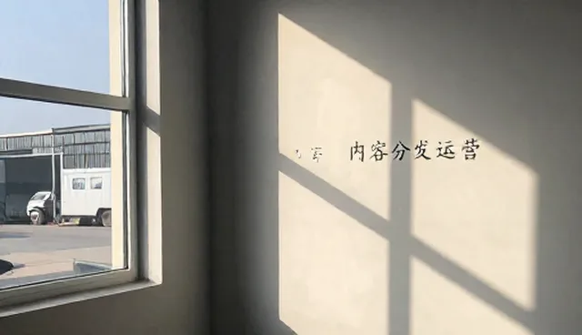 团队策划中信息同步的关键作用与限制分析